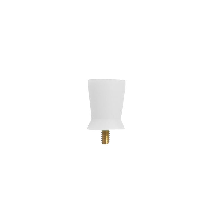 ipana Screw Type Prophy Cup - Regular White