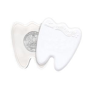 Tooth Fairy Box