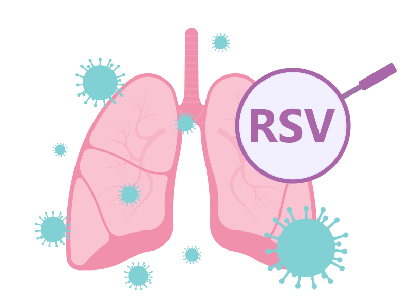 Virus Facts: Respiratory Syncytial Virus