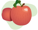 Illustration of two apples